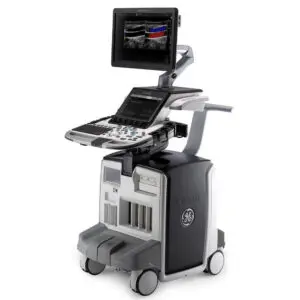 Refurbished GE Logiq E10 Veterinary Ultrasound suitable for Animal Use