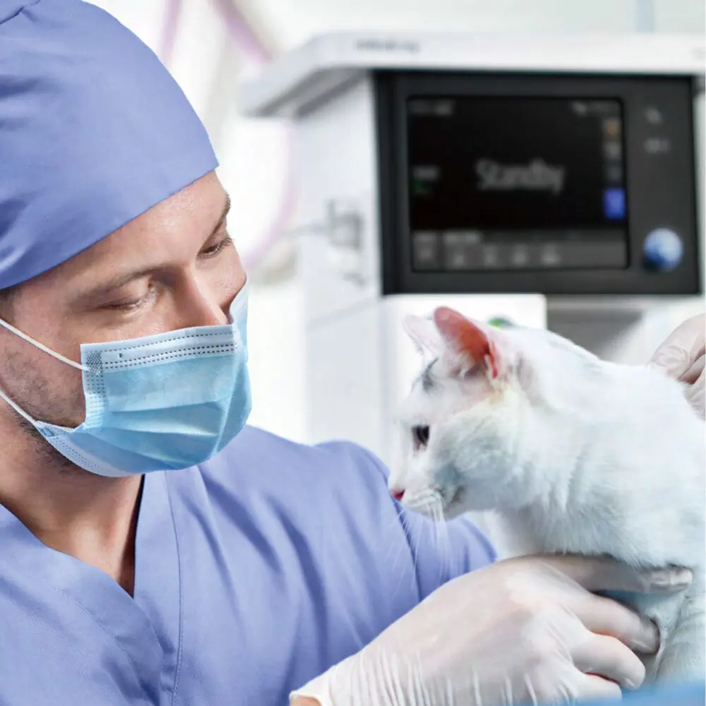 Mindray Veterinary Veta 5 Anesthesia Machine